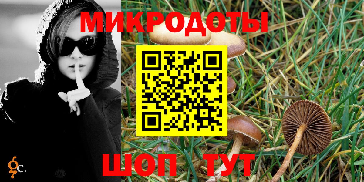 Псилоцибиновые грибы Cubensis  Вход с VPN  Курган  хочу   Галлюциногенные грибы MAGIC MUSHROOMS 